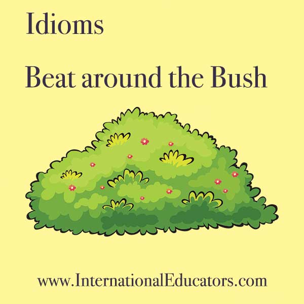 beat around the bush idiom